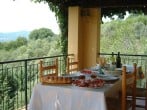 Terrace Terrace
